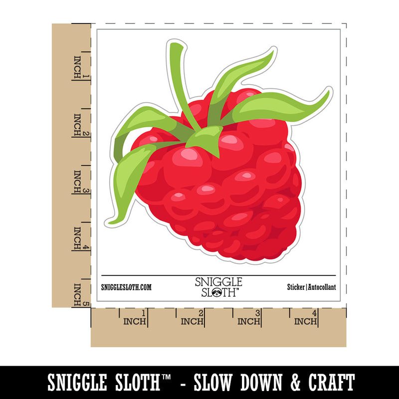 Juicy Ripe Raspberry Berry Fruit Waterproof Vinyl Phone Tablet Laptop Water Bottle Car Window Bumper Decal Sticker Set - 5 Pack