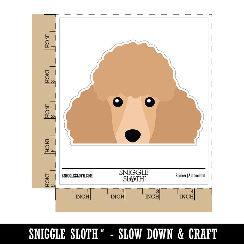 Peeking Cream Poodle Dog Waterproof Vinyl Phone Tablet Laptop Water Bottle Car Window Bumper Decal Sticker Set - 5 Pack