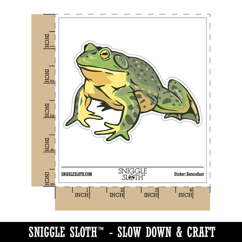 Realistic American Bullfrog Amphibian Frog Waterproof Vinyl Phone Tablet Laptop Water Bottle Car Window Bumper Decal Sticker Set - 5 Pack