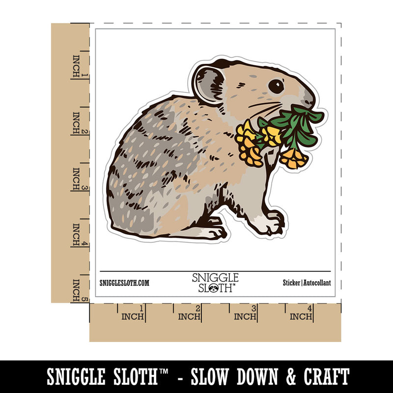 Realistic American Pika Gathering Flowers Waterproof Vinyl Phone Tablet Laptop Water Bottle Car Window Bumper Decal Sticker Set - 5 Pack