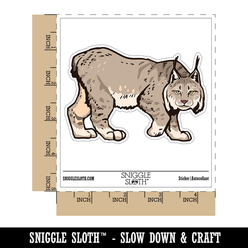 Realistic Canada Lynx Wild Cat Feline Waterproof Vinyl Phone Tablet Laptop Water Bottle Car Window Bumper Decal Sticker Set - 5 Pack