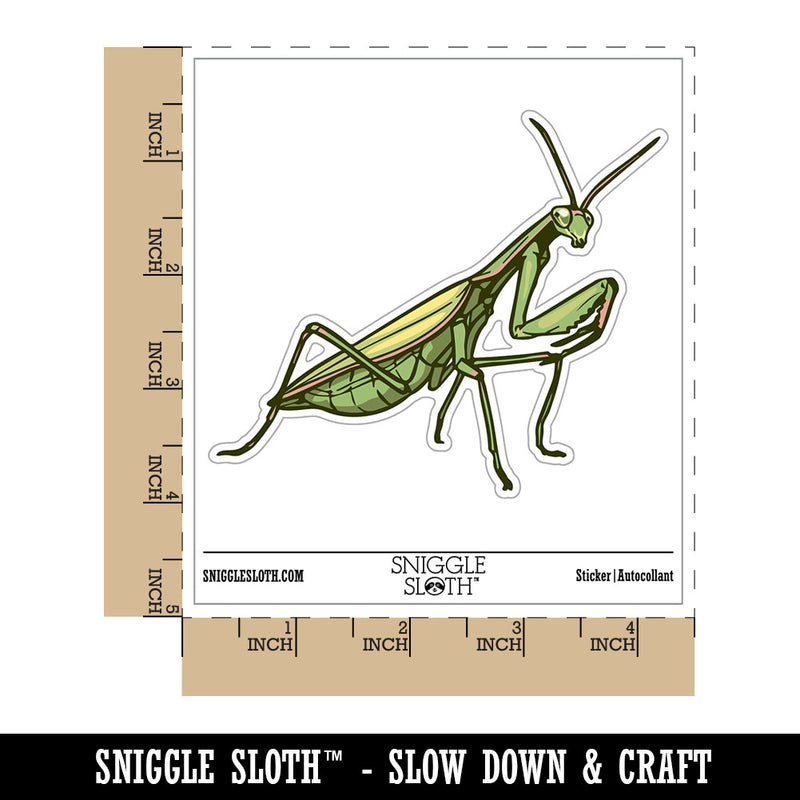 Realistic Praying Mantis Bug Insect Waterproof Vinyl Phone Tablet Laptop Water Bottle Car Window Bumper Decal Sticker Set - 5 Pack
