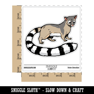 Realistic Ringtail Miner's Cat Mammal Waterproof Vinyl Phone Tablet Laptop Water Bottle Car Window Bumper Decal Sticker Set - 5 Pack