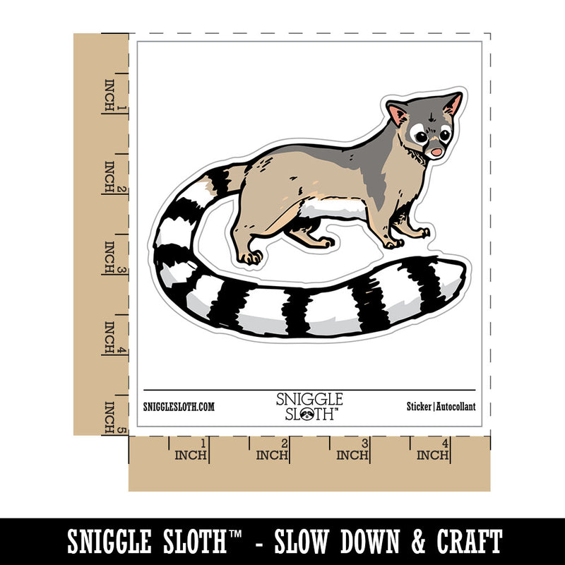 Realistic Ringtail Miner's Cat Mammal Waterproof Vinyl Phone Tablet Laptop Water Bottle Car Window Bumper Decal Sticker Set - 5 Pack