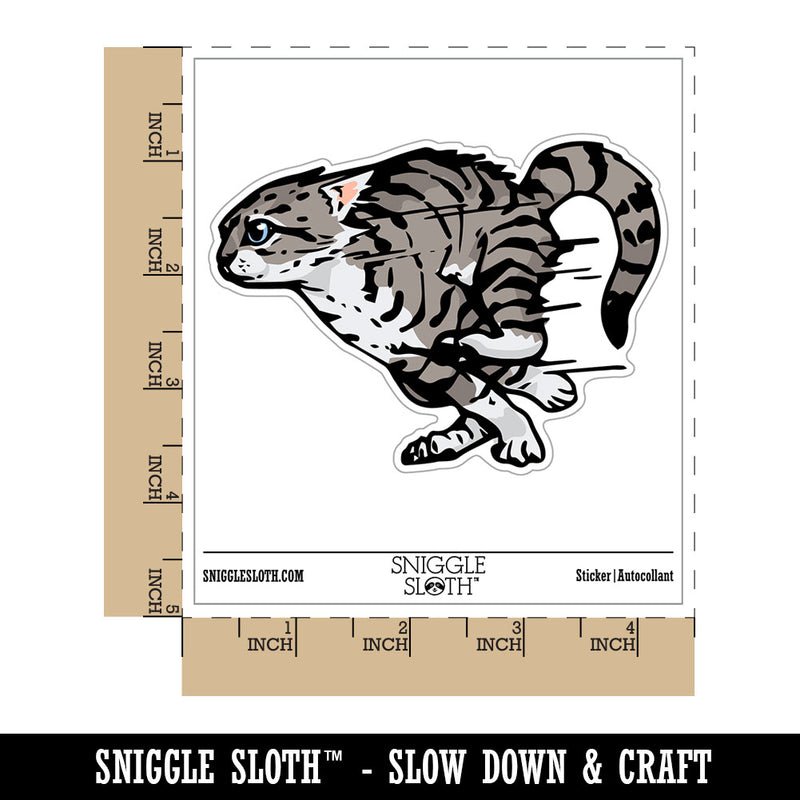 Realistic Running Kitten Cat Zoomies Sprinting Fast Waterproof Vinyl Phone Tablet Laptop Water Bottle Car Window Bumper Decal Sticker Set - 5 Pack