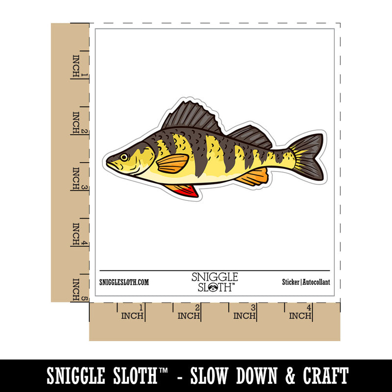 Realistic Yellow Perch Striped Fish Waterproof Vinyl Phone Tablet Laptop Water Bottle Car Window Bumper Decal Sticker Set - 5 Pack