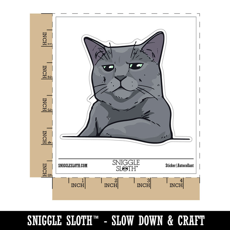 Russian Blue Cat Condescending Unimpressed Look Waterproof Vinyl Phone Tablet Laptop Water Bottle Car Window Bumper Decal Sticker Set - 5 Pack