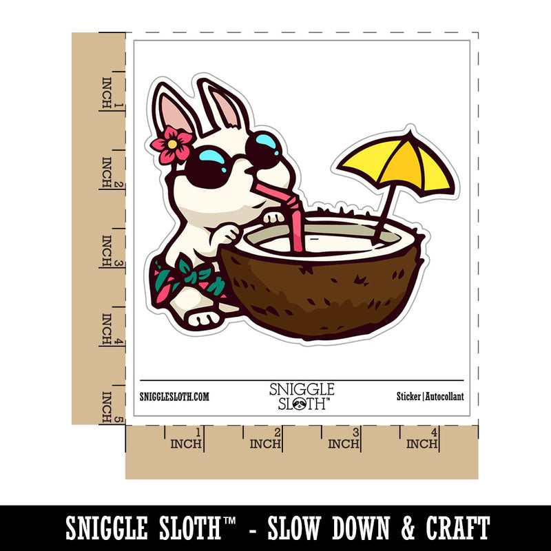 Vacation Bunny Rabbit Drinking Coconut Waterproof Vinyl Phone Tablet Laptop Water Bottle Car Window Bumper Decal Sticker Set - 5 Pack