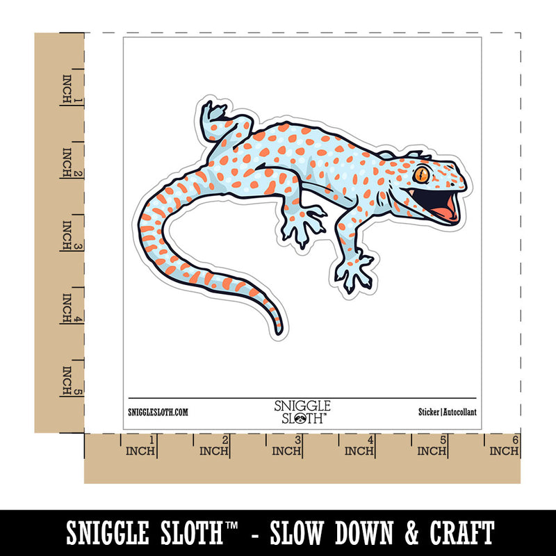 Angry Tokay Gecko Realistic Lizard Waterproof Vinyl Phone Tablet Laptop Water Bottle Car Window Bumper Decal Sticker Set - 5 Pack