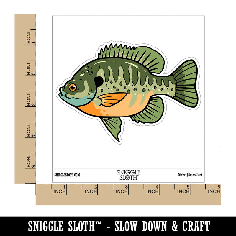 Bluegill Freshwater Fish Bream Copper Nose Waterproof Vinyl Phone Tablet Laptop Water Bottle Car Window Bumper Decal Sticker Set - 5 Pack