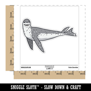 Curious Leopard Seal Swimming Sea Waterproof Vinyl Phone Tablet Laptop Water Bottle Car Window Bumper Decal Sticker Set - 5 Pack