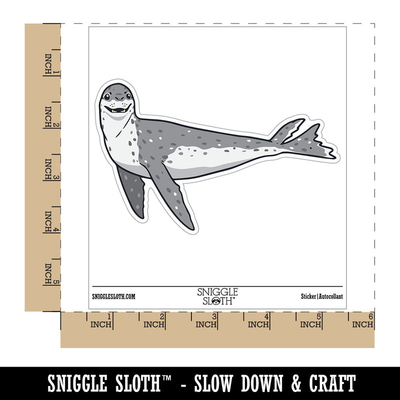 Curious Leopard Seal Swimming Sea Waterproof Vinyl Phone Tablet Laptop Water Bottle Car Window Bumper Decal Sticker Set - 5 Pack
