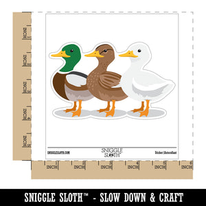 Ducks In A Row Funny Birds Waterproof Vinyl Phone Tablet Laptop Water Bottle Car Window Bumper Decal Sticker Set - 5 Pack