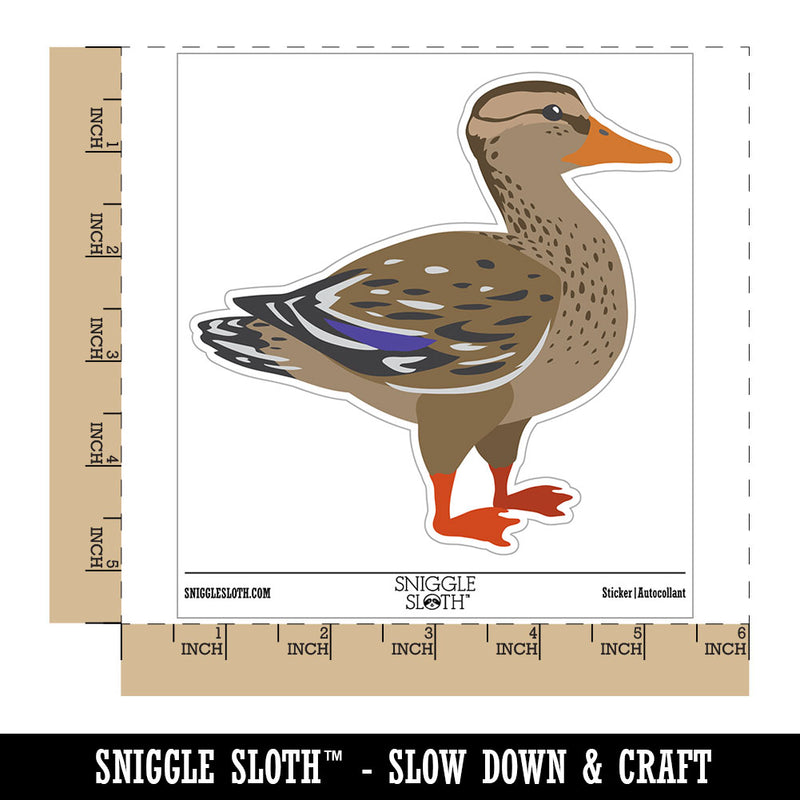 Female Mallard Duck Bird Fowl Waterproof Vinyl Phone Tablet Laptop Water Bottle Car Window Bumper Decal Sticker Set - 5 Pack