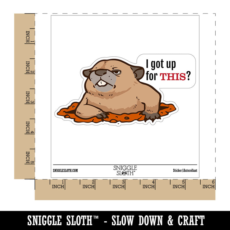 Grumpy Groundhog I got Up For This Waterproof Vinyl Phone Tablet Laptop Water Bottle Car Window Bumper Decal Sticker Set - 5 Pack