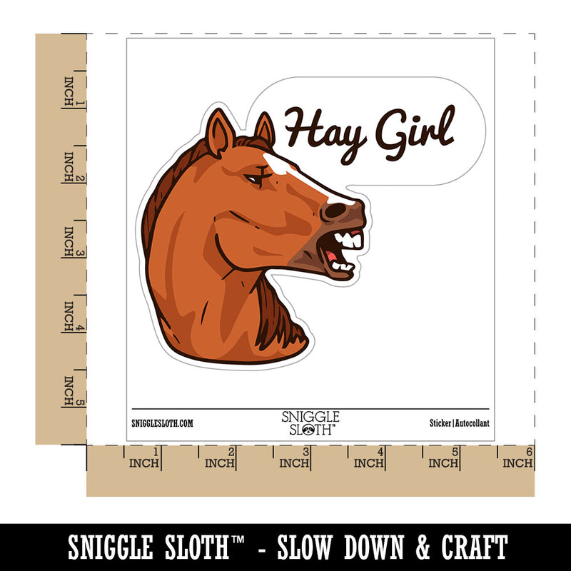 Hay Girl Flirty Chestnut Sorrel Horse Funny Pun Waterproof Vinyl Phone Tablet Laptop Water Bottle Car Window Bumper Decal Sticker Set - 5 Pack
