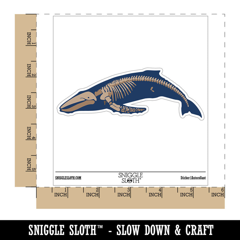 Humpback Whale Skeleton Bones Waterproof Vinyl Phone Tablet Laptop Water Bottle Car Window Bumper Decal Sticker Set - 5 Pack