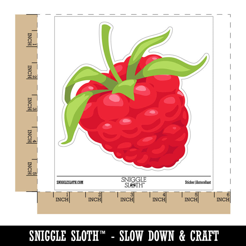 Juicy Ripe Raspberry Berry Fruit Waterproof Vinyl Phone Tablet Laptop Water Bottle Car Window Bumper Decal Sticker Set - 5 Pack