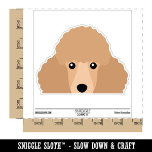 Peeking Cream Poodle Dog Waterproof Vinyl Phone Tablet Laptop Water Bottle Car Window Bumper Decal Sticker Set - 5 Pack