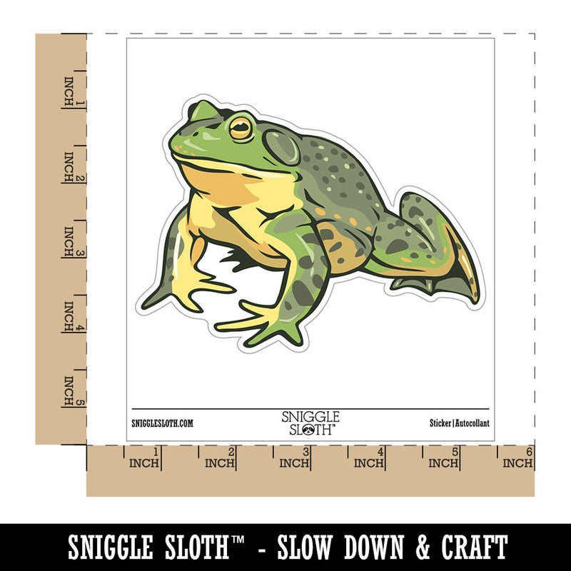 Realistic American Bullfrog Amphibian Frog Waterproof Vinyl Phone Tablet Laptop Water Bottle Car Window Bumper Decal Sticker Set - 5 Pack