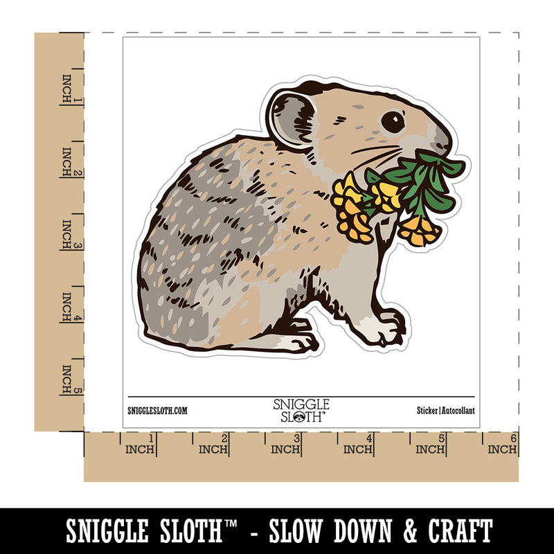 Realistic American Pika Gathering Flowers Waterproof Vinyl Phone Tablet Laptop Water Bottle Car Window Bumper Decal Sticker Set - 5 Pack