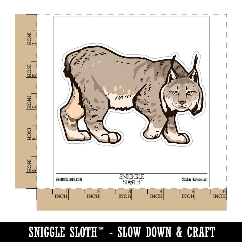 Realistic Canada Lynx Wild Cat Feline Waterproof Vinyl Phone Tablet Laptop Water Bottle Car Window Bumper Decal Sticker Set - 5 Pack