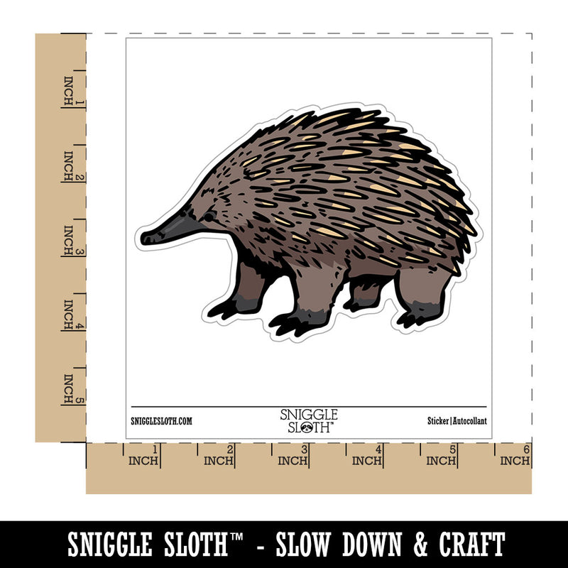 Realistic Echidna Spiny Anteater Waterproof Vinyl Phone Tablet Laptop Water Bottle Car Window Bumper Decal Sticker Set - 5 Pack