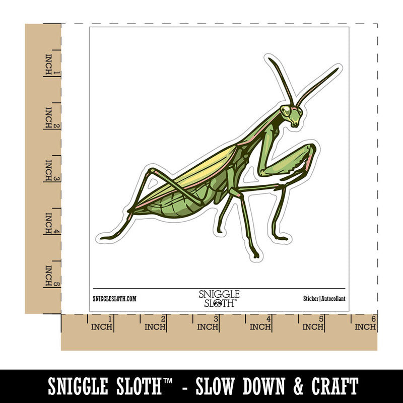 Realistic Praying Mantis Bug Insect Waterproof Vinyl Phone Tablet Laptop Water Bottle Car Window Bumper Decal Sticker Set - 5 Pack