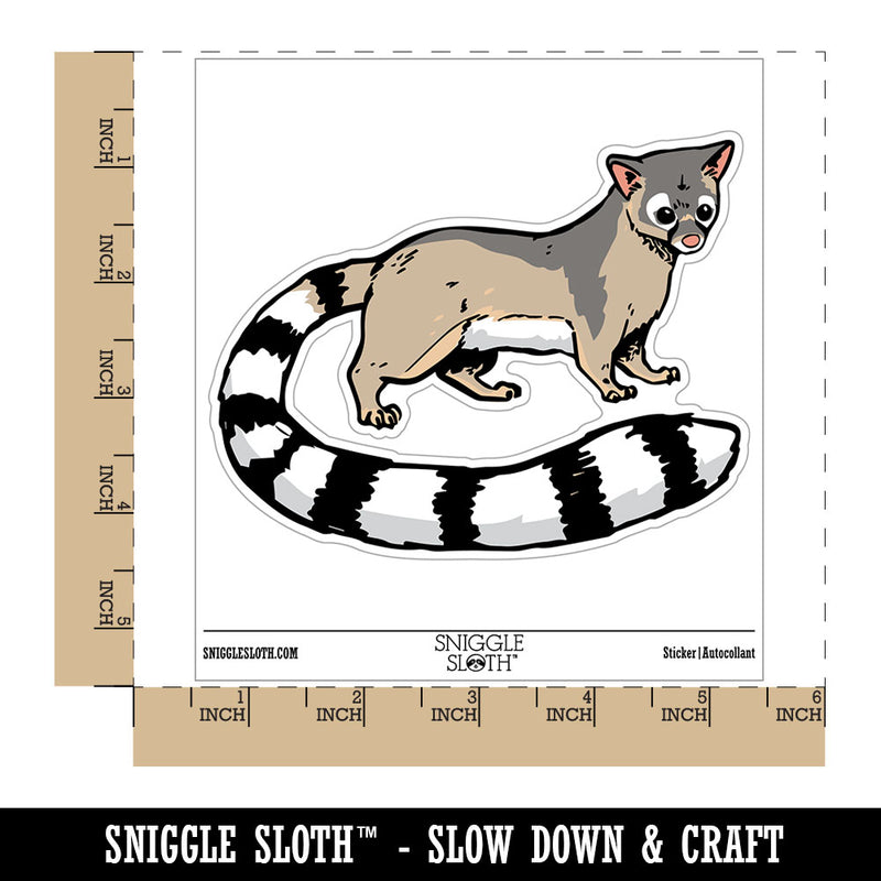 Realistic Ringtail Miner's Cat Mammal Waterproof Vinyl Phone Tablet Laptop Water Bottle Car Window Bumper Decal Sticker Set - 5 Pack