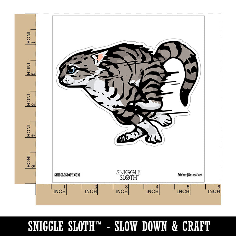 Realistic Running Kitten Cat Zoomies Sprinting Fast Waterproof Vinyl Phone Tablet Laptop Water Bottle Car Window Bumper Decal Sticker Set - 5 Pack