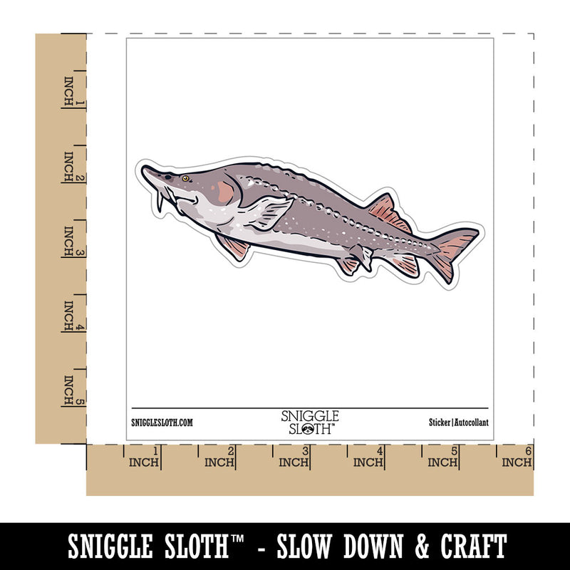 Realistic Sturgeon Large Fish Caviar Waterproof Vinyl Phone Tablet Laptop Water Bottle Car Window Bumper Decal Sticker Set - 5 Pack