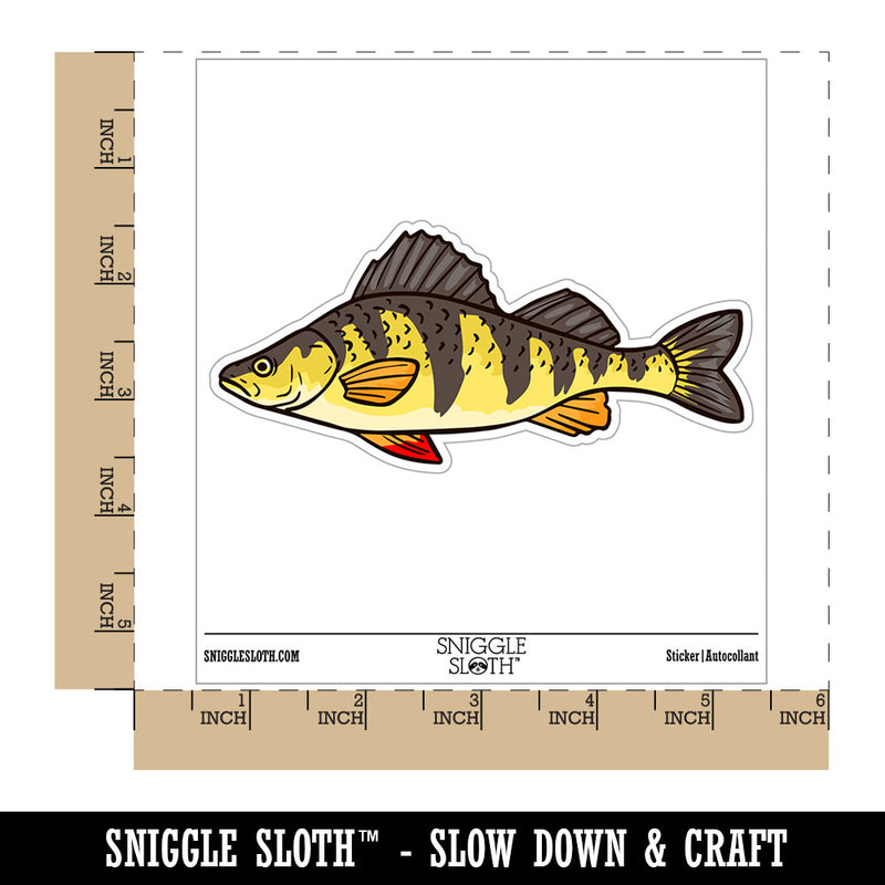 Realistic Yellow Perch Striped Fish Waterproof Vinyl Phone Tablet Laptop Water Bottle Car Window Bumper Decal Sticker Set - 5 Pack
