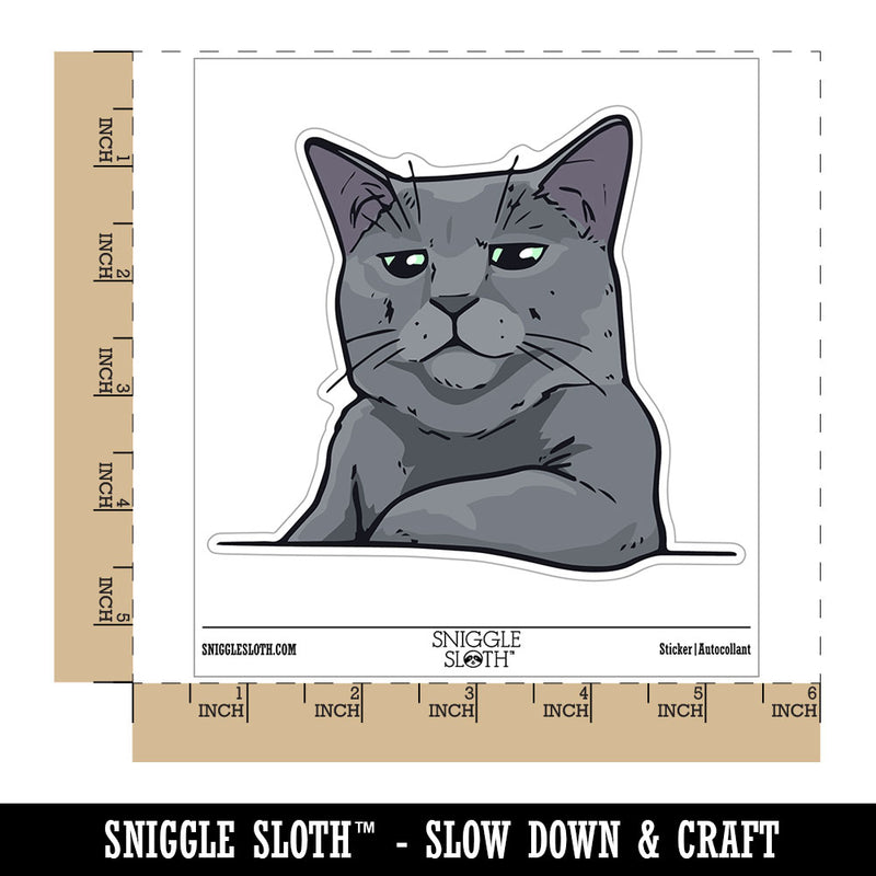 Russian Blue Cat Condescending Unimpressed Look Waterproof Vinyl Phone Tablet Laptop Water Bottle Car Window Bumper Decal Sticker Set - 5 Pack