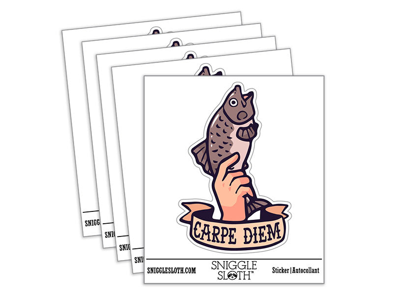 Water Bottle Sticker Set Carpe Diem Funny Hand Holding Fish Carp Cute Waterproof Vinyl Stickers Pack Decal, Skateboard, Laptop, Car, Window, Bumper - 5 Pack