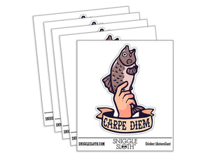Water Bottle Sticker Set Carpe Diem Funny Hand Holding Fish Carp Cute Waterproof Vinyl Stickers Pack Decal, Skateboard, Laptop, Car, Window, Bumper - 5 Pack