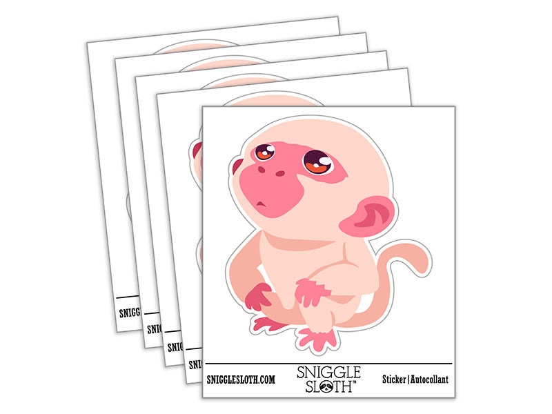 Water Bottle Sticker Set Curious Inquisitive Little Monkey Looking Up Cute Waterproof Vinyl Stickers Pack Decal, Skateboard, Laptop, Car, Window, Bumper - 5 Pack