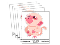Water Bottle Sticker Set Curious Inquisitive Little Monkey Looking Up Cute Waterproof Vinyl Stickers Pack Decal, Skateboard, Laptop, Car, Window, Bumper - 5 Pack