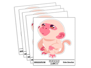 Water Bottle Sticker Set Curious Inquisitive Little Monkey Looking Up Cute Waterproof Vinyl Stickers Pack Decal, Skateboard, Laptop, Car, Window, Bumper - 5 Pack