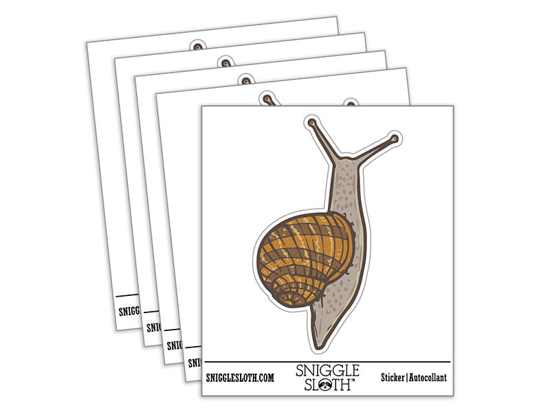 Water Bottle Sticker Set Realistic Sticky Garden Snail Crawling Cute Waterproof Vinyl Stickers Pack Decal, Skateboard, Laptop, Car, Window, Bumper - 5 Pack