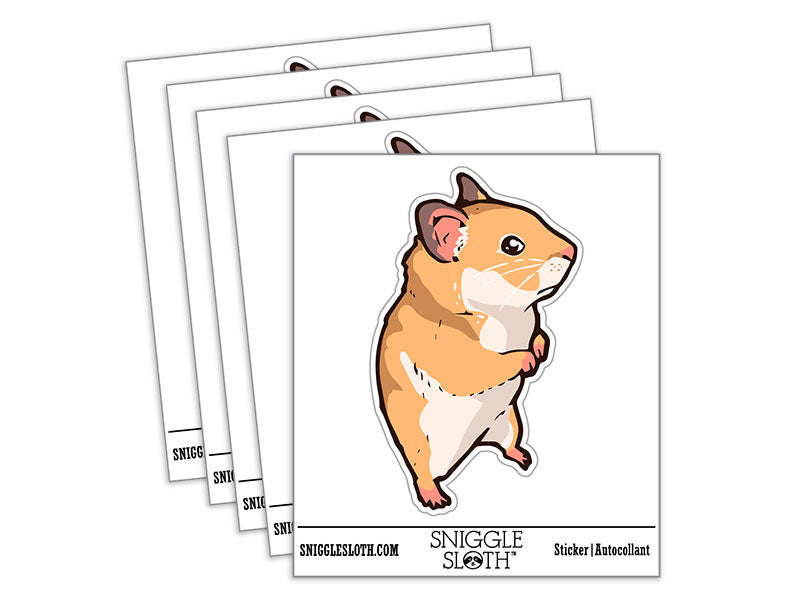 Water Bottle Sticker Set Wary Suspicious Syrian Hamster Standing Cute Waterproof Vinyl Stickers Pack Decal, Skateboard, Laptop, Car, Window, Bumper - 5 Pack