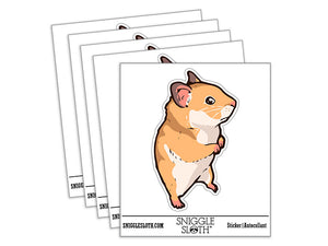Water Bottle Sticker Set Wary Suspicious Syrian Hamster Standing Cute Waterproof Vinyl Stickers Pack Decal, Skateboard, Laptop, Car, Window, Bumper - 5 Pack