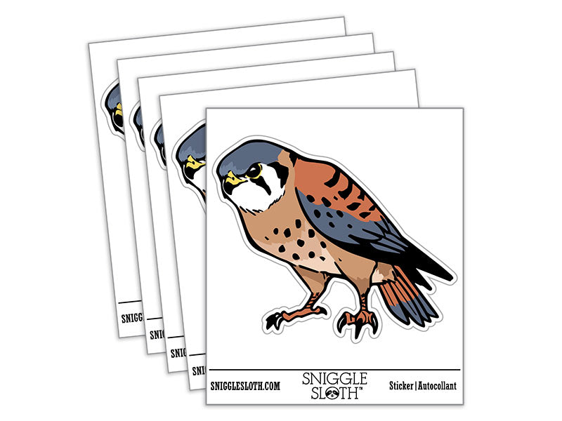 American Kestrel Falcon Bird of Prey Waterproof Vinyl Phone Tablet Laptop Water Bottle Car Window Bumper Decal Sticker Set - 5 Pack