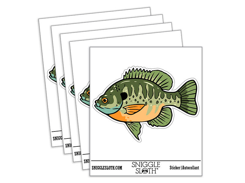Bluegill Freshwater Fish Bream Copper Nose Waterproof Vinyl Phone Tablet Laptop Water Bottle Car Window Bumper Decal Sticker Set - 5 Pack