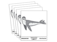 Curious Leopard Seal Swimming Sea Waterproof Vinyl Phone Tablet Laptop Water Bottle Car Window Bumper Decal Sticker Set - 5 Pack