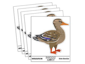 Female Mallard Duck Bird Fowl Waterproof Vinyl Phone Tablet Laptop Water Bottle Car Window Bumper Decal Sticker Set - 5 Pack