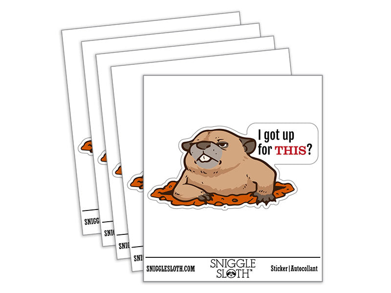 Grumpy Groundhog I got Up For This Waterproof Vinyl Phone Tablet Laptop Water Bottle Car Window Bumper Decal Sticker Set - 5 Pack