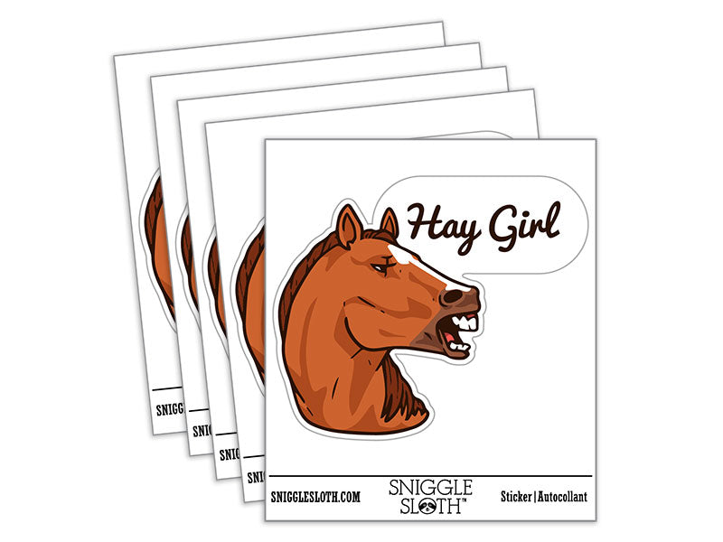 Hay Girl Flirty Chestnut Sorrel Horse Funny Pun Waterproof Vinyl Phone Tablet Laptop Water Bottle Car Window Bumper Decal Sticker Set - 5 Pack