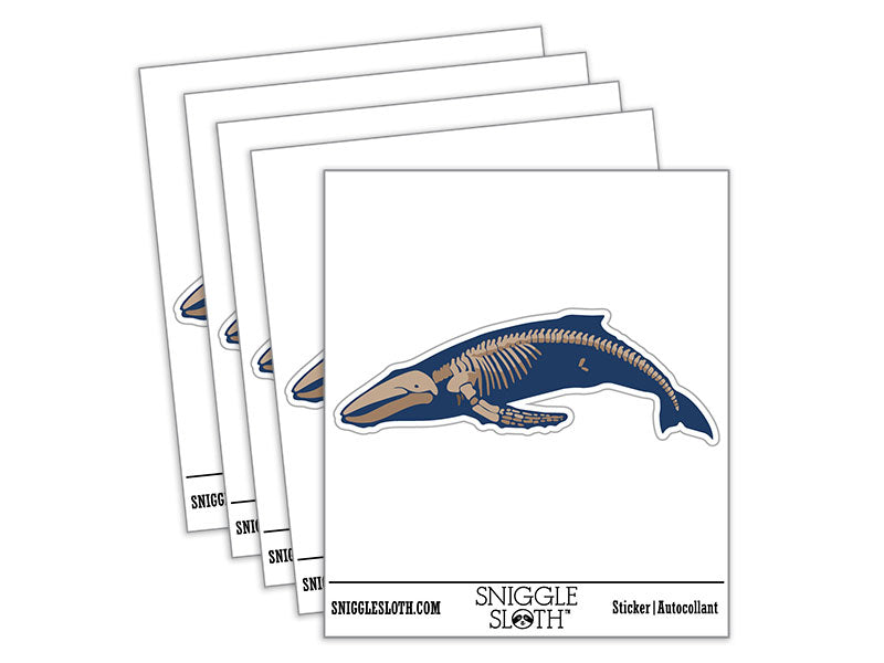Humpback Whale Skeleton Bones Waterproof Vinyl Phone Tablet Laptop Water Bottle Car Window Bumper Decal Sticker Set - 5 Pack