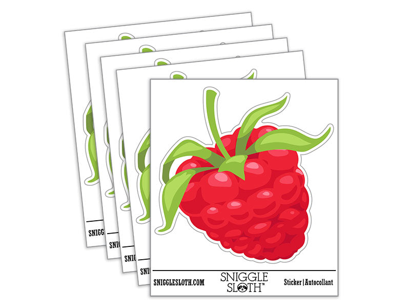 Juicy Ripe Raspberry Berry Fruit Waterproof Vinyl Phone Tablet Laptop Water Bottle Car Window Bumper Decal Sticker Set - 5 Pack