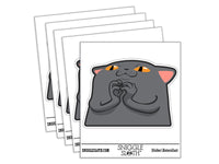 Mischievous Scheming Peeking Cat Waterproof Vinyl Phone Tablet Laptop Water Bottle Car Window Bumper Decal Sticker Set - 5 Pack